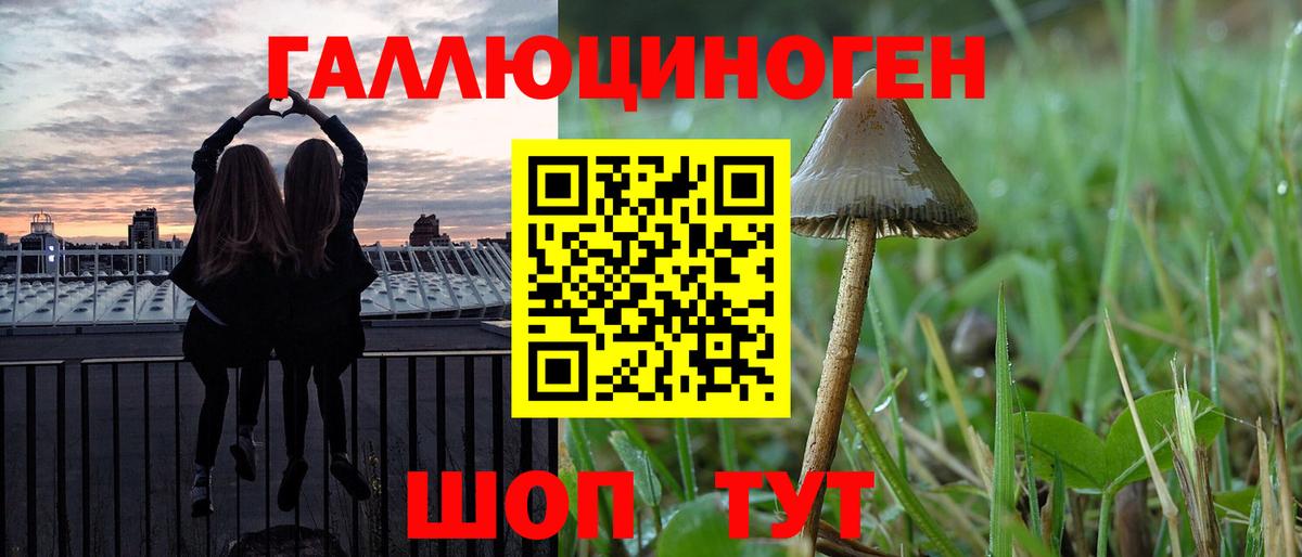 Галлюциногенные грибы Magic Shrooms Новошахтинск