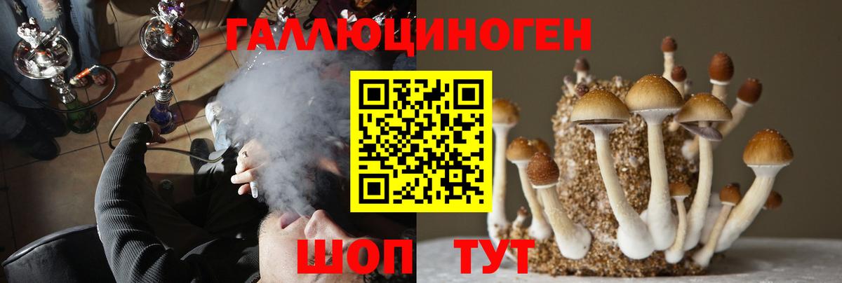 Галлюциногенные грибы Psilocybe  Вход с VPN  где можно купить   Псилоцибиновые грибы мухоморы  Новошахтинск 